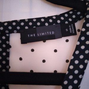 The Limited Polka Dot Blouse